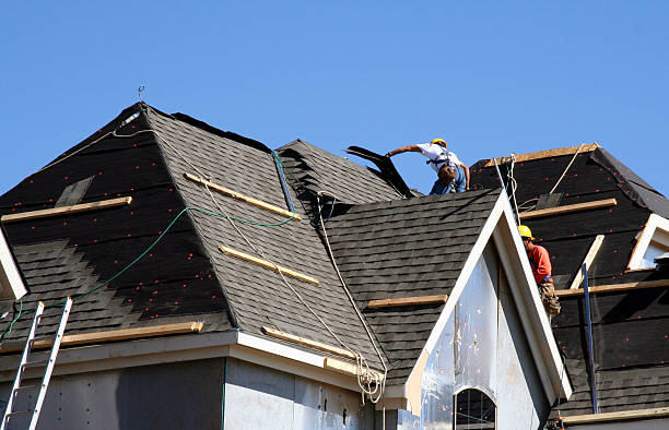 Best Metal Roofing Contractor  in Colonial Beach, VA