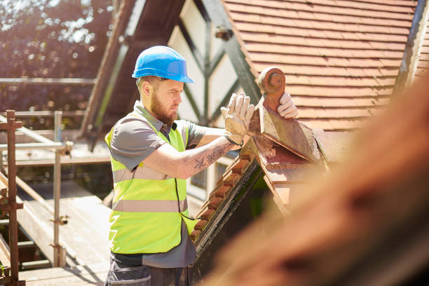 Best Roof Restoration Services  in Colonial Beach, VA