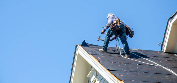 Best Roof Gutter Cleaning  in Colonial Beach, VA